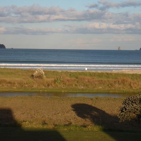 Absolute Beachview B & B Whitianga Zewnętrze zdjęcie