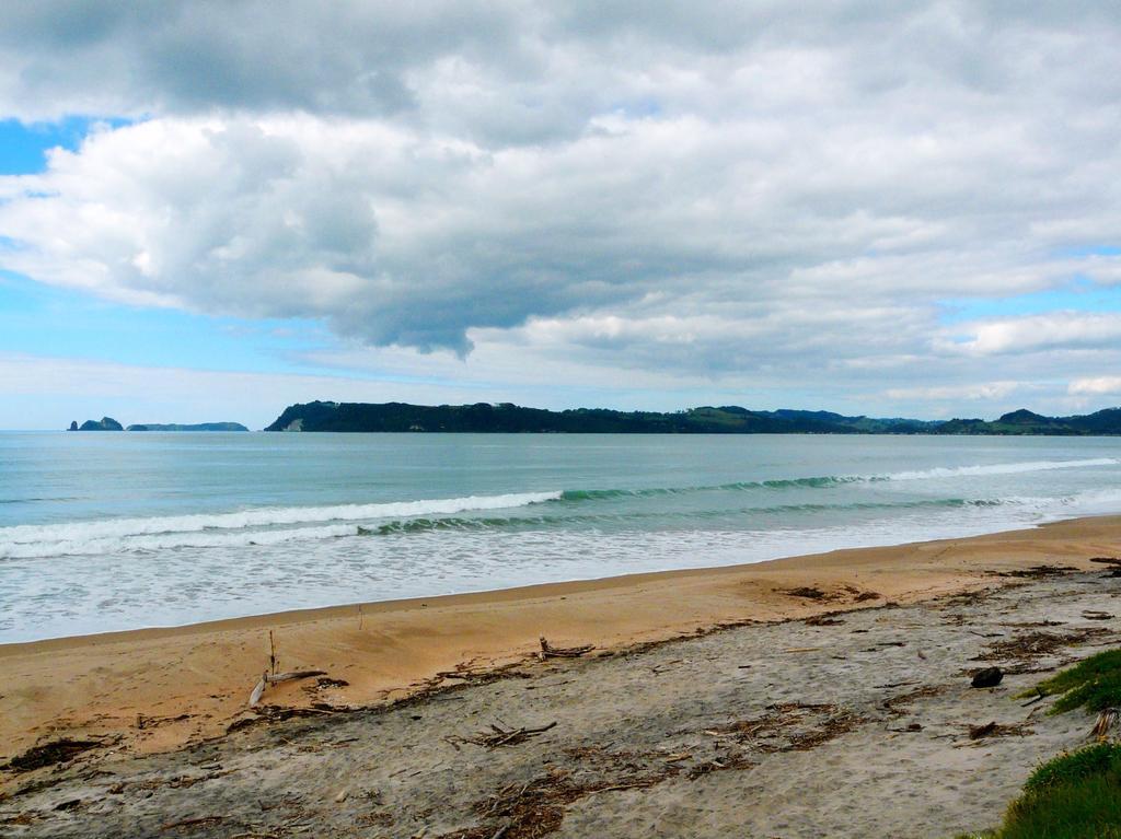 Absolute Beachview B & B Whitianga Zewnętrze zdjęcie