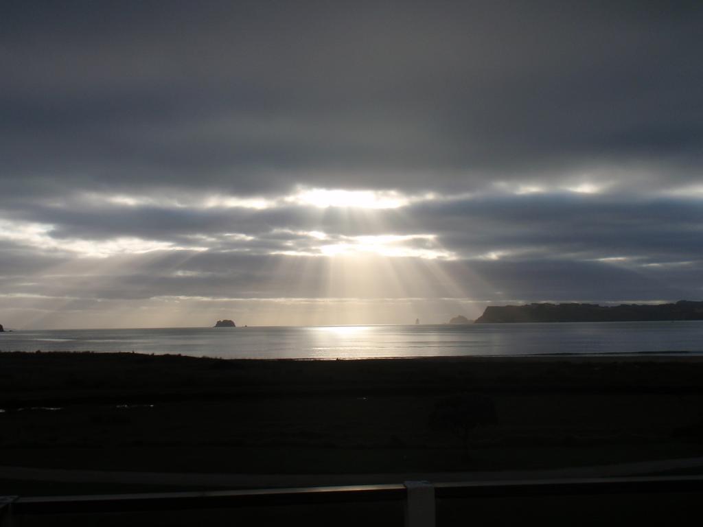 Absolute Beachview B & B Whitianga Zewnętrze zdjęcie