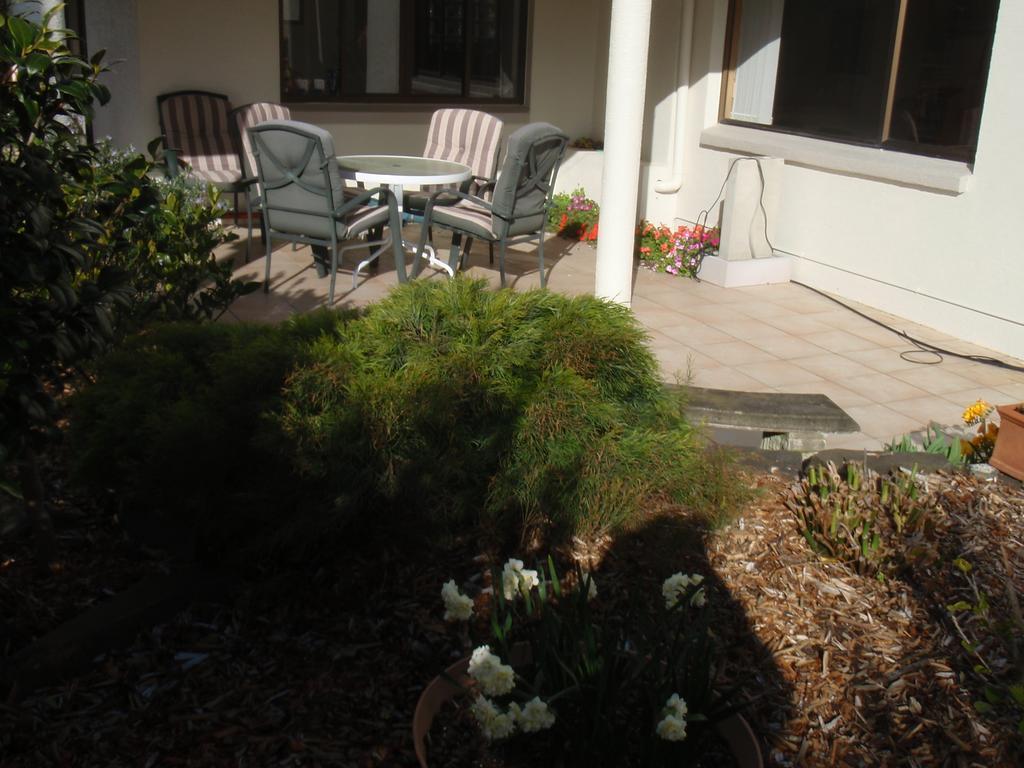 Absolute Beachview B & B Whitianga Zewnętrze zdjęcie