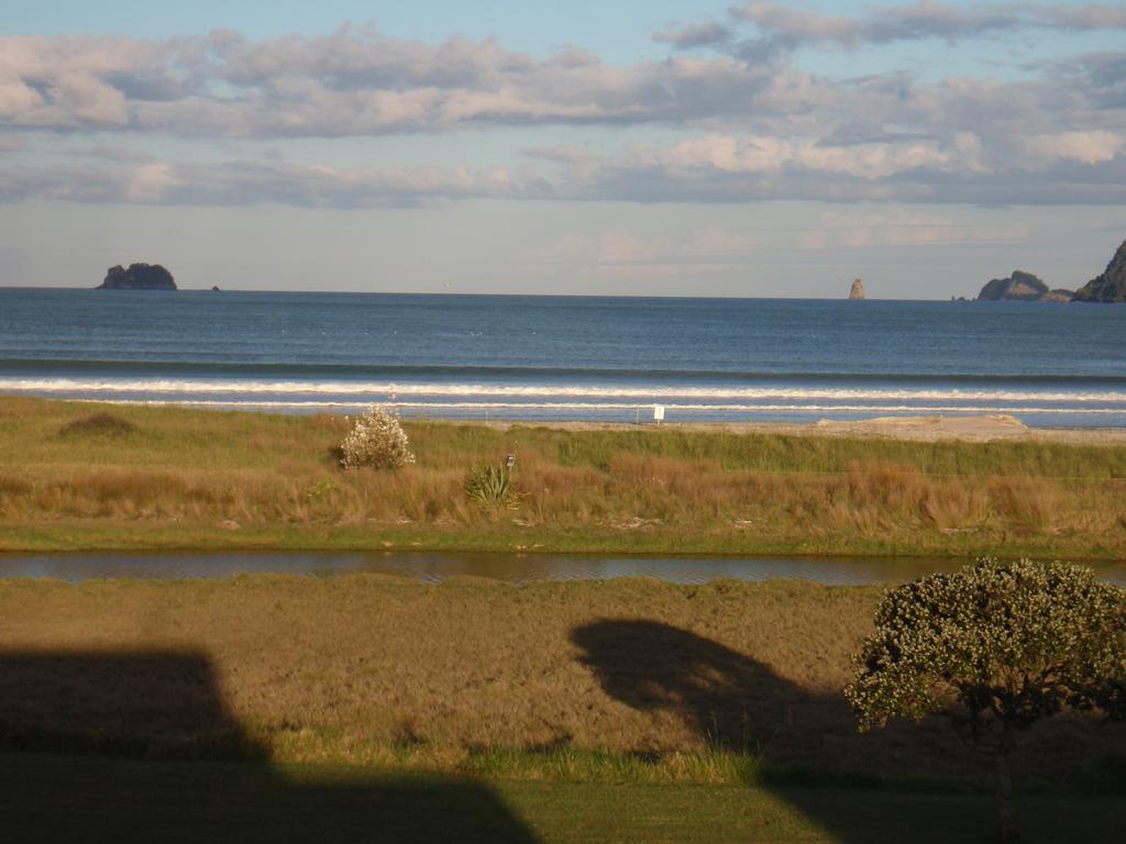 Absolute Beachview B & B Whitianga Zewnętrze zdjęcie